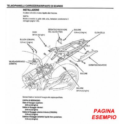 E1951 Manuale officina per moto Ducati 749 - 749 Dark - 749 S del 2006 PDF italiano